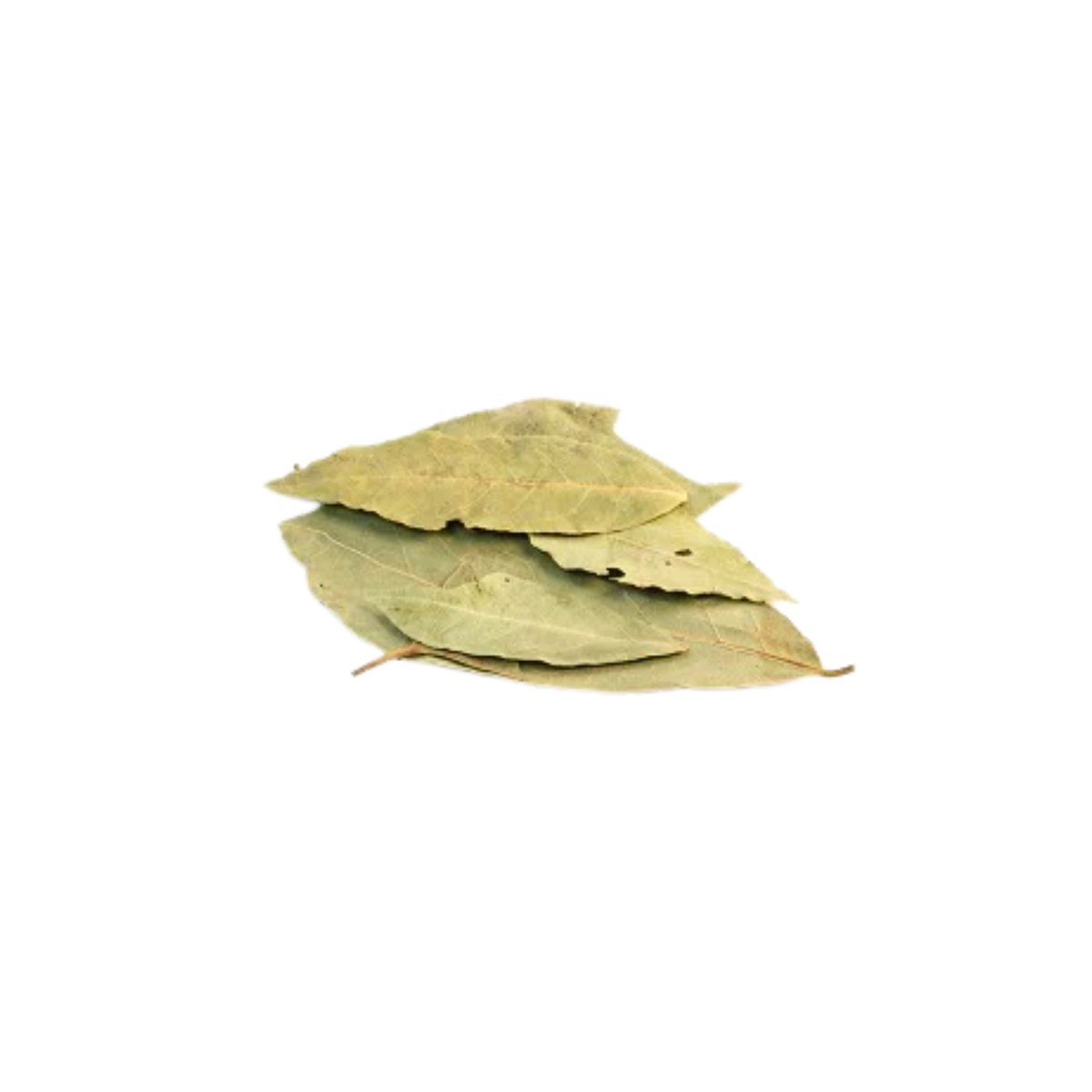 Bay Leaves